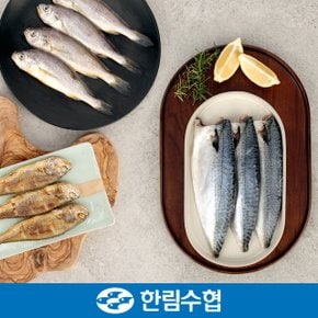 [명절 후 배송] [제주 한림수협] 굴비&고등어 특선 선물세트 2호 (굴비 400g(5미) x 2팩+고등어180g x 10팩) / 부직포가방_국내산_냉동비축품