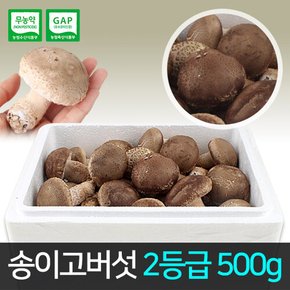 송이고버섯 2등급 500g /당일수확/생산자 발송