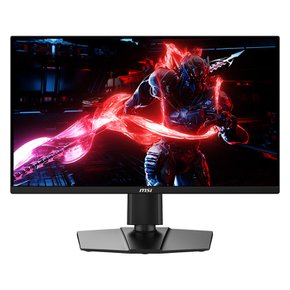 24인치 게이밍 모니터 FHD 180Hz IPS 피벗 무결점 G255PF E2