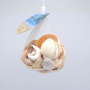 조개껍데기 160g장식소품 조개 껍데기 140g