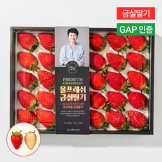 올프레쉬 [금실딸기] 수출하는 프리미엄 GAP 고당도 지리산 자락 금실 딸기 820g(특/24-40입)