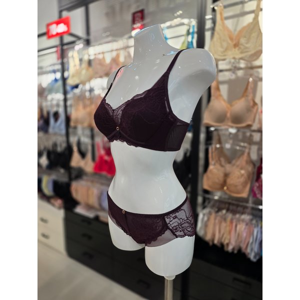[시흥점] S 비너스 ) 24aw 풀커버리지 브라, 망레이스 팬티 세트[VBR0991/VPT0991S-WI]