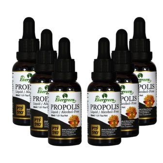  에버그린 무알콜 리퀴드 프로폴리스 30ML 6개