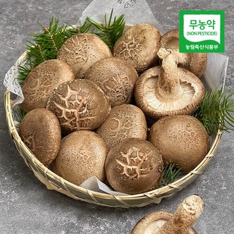 친환경팔도 [산지직송] 부여 무농약 표고버섯(향고) 500g