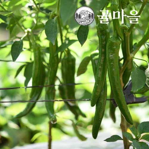 추가3이미지
