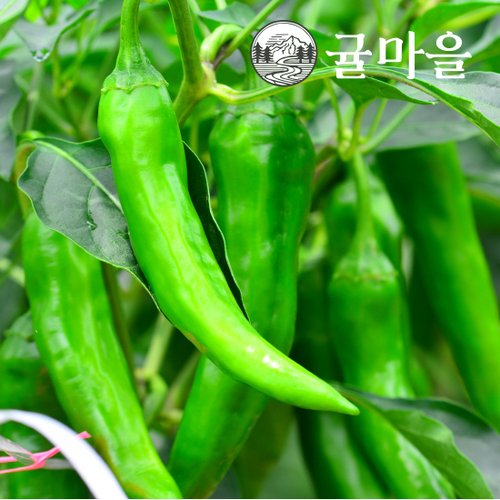 추가4이미지