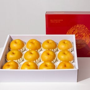 [더조은] 나주 봉황배 선물세트 (안심포장) 7.5kg (11-12과)