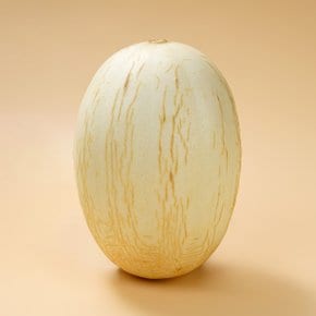 슈가캔디 멜론 1.3kg/통