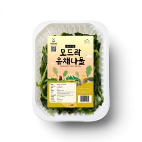 이제주 간편한 데친 유채나물 300g