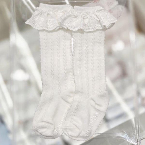 확대된 대표 IMAGE1