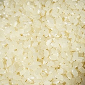 고인돌 쌀20kg(1kgx20개) 강화섬쌀 쌀눈쌀