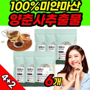 양춘사 추출물 사인 사인씨 분말 가루 차 티백 6개 양춘사 열수 추출물