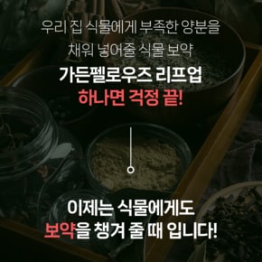 가든펠로우즈 리프업 500ml 관엽식물 식물영양제 보약 화초 화분 금전수 몬스테라 뱅갈고무나무