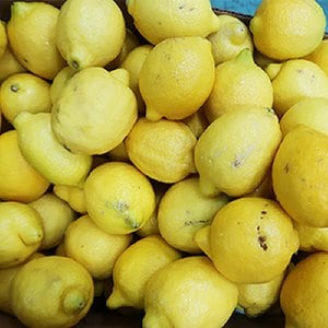  실속형 레몬 60입(중과120g 140과)
