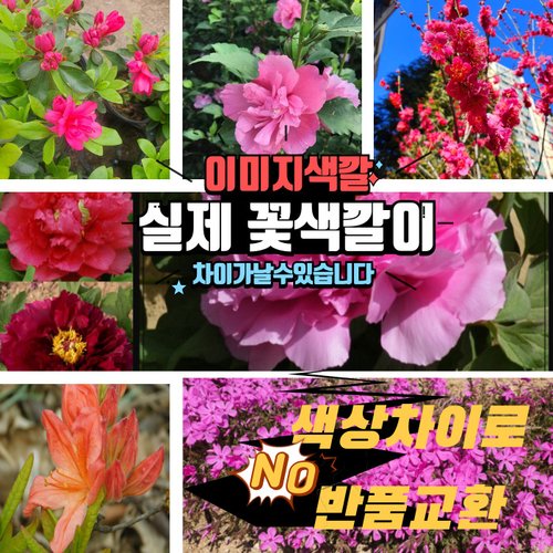 추가이미지