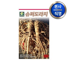 슈퍼 도라지 씨앗 5g . 길경 채소 야채 텃밭 파종 재배 주말 농장 씨 종자