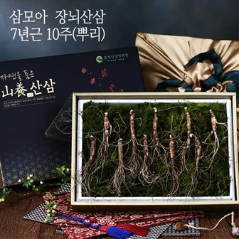 삼모아농장 삼모아 장뇌산삼(산양산삼) 7년근 10뿌리(건강사랑세트)/싱싱우드락패키지케이스+공단보자기포장