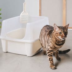 오픈형 고양이 화장실 (화이트) CLH-12