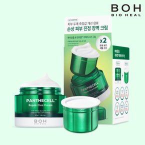 판테셀 리페어시카 크림 50ml X 2개