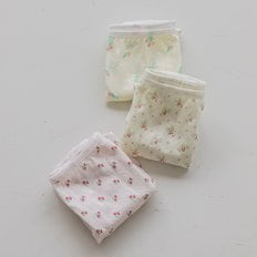 부케 여아 팬티 3종 SET HTAPA03