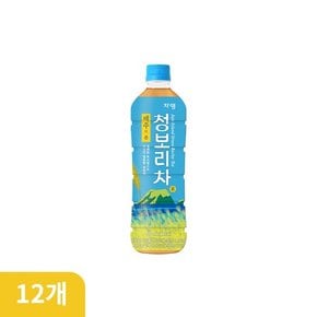 제주의 봄 청보리차 500ml X 12EA