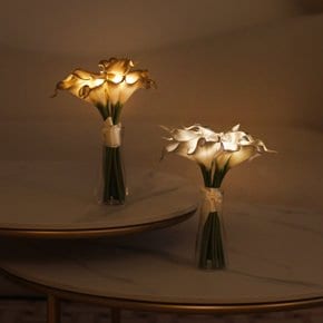 샤이니 골드 실버 카라 부케 LED 무드등 - shiny gold / silver calla bouquet LED lights