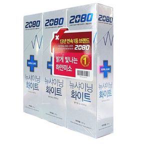 2080 치약 양치 치태 구강 청결 치약 화이트 120g 3P[33138383]