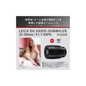 파나소닉 대구경 망원 줌 렌즈 마이크로포서즈용 루믹스 LEICA DG VARIO-