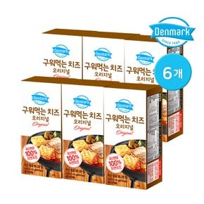 덴마크 구워먹는 치즈 오리지널 125g 6개