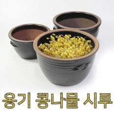 옹기콩나물시루 소 콩나물