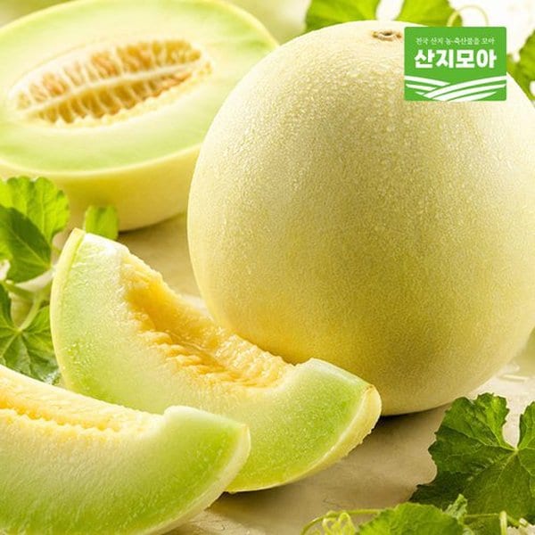 확대된 대표 대표이미지
