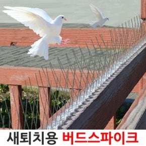 버드 스파이크 25cm 조류 비둘기 퇴치 베란다 실외기