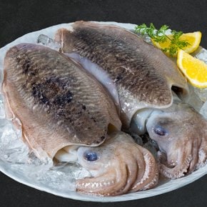 맘스 완전 손질 갑오징어 (냉동) 650g (4~6미내외)