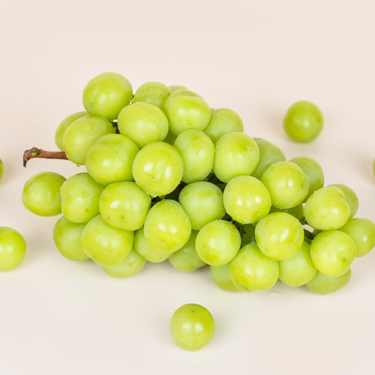 상품이미지5
