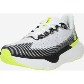 5387611 Under Armour Running Shoes Infinite Pro