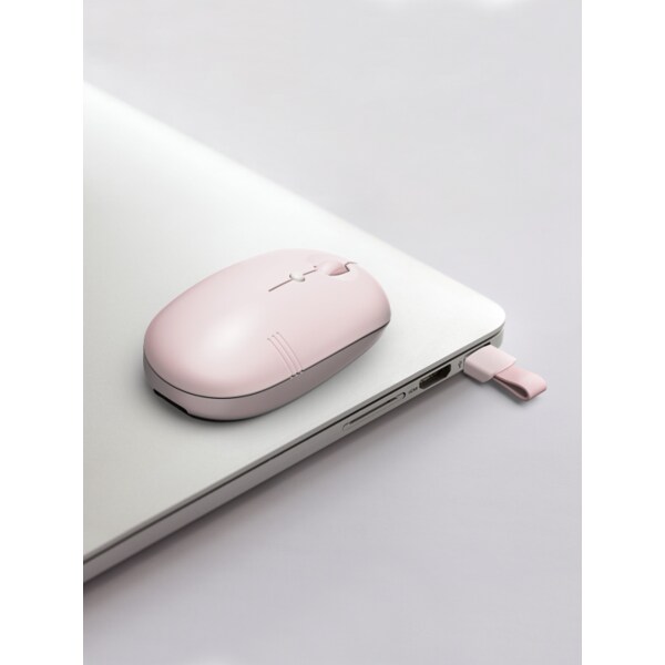 디자인 테일 저소음 USB 무선 마우스 AWM-01