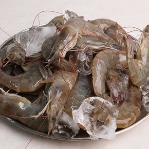 [오늘신선] 통영 산지직송 활 흰다리새우 500g