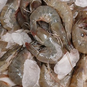 [오늘신선] 통영 산지직송 활 흰다리새우 500g