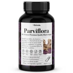파비플로라 흑생강 블랙진저 10배농축 추출물 500mg 120베지캡슐 2개