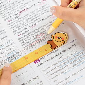 춘식이 30cm 자