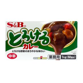 에스비 토로케루 카레 약간매운맛 1kg