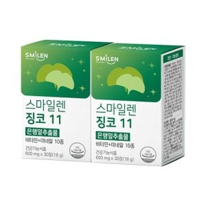 스마일렌 징코 11 은행잎추출물 600mg 30정X2통