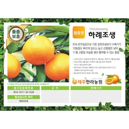 상품이미지4