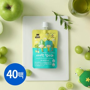 아이누리 마시는 샤이한 청사과 100ml x 40팩 상온