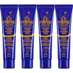 Dr. PAWPAW 닥터포포 오버나이트 립밤 오버나이트 마스크 25ml 4팩