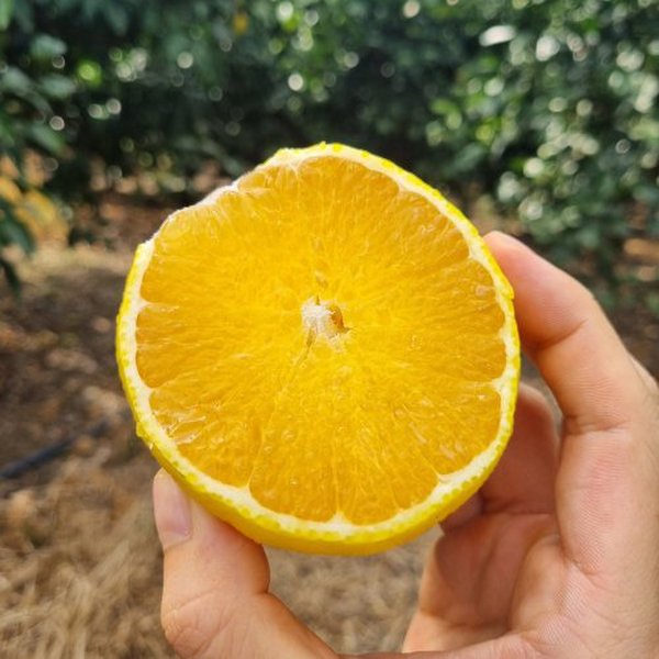 상품이미지1