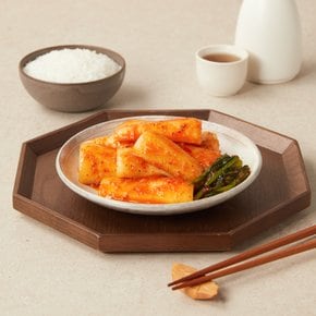 종가 오래오래 맛있는 총각김치 850g