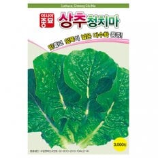 아시아종묘 씨앗 상추 청치마 6000립