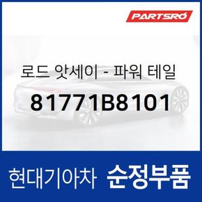 로드-파워 테일 게이트 (81771B8101)  맥스크루즈 현대모비스 부품몰