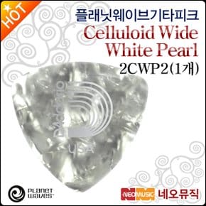 플래닛웨이브 기타피크 Planet Waves 2CWP2 (1개)